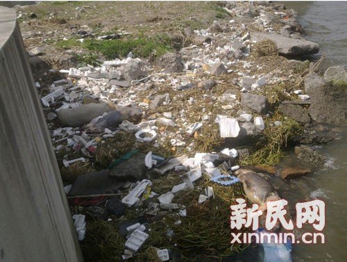 1,200 dead pigs retrieved in Shanghai river.[Photo/Xinmin.cn]