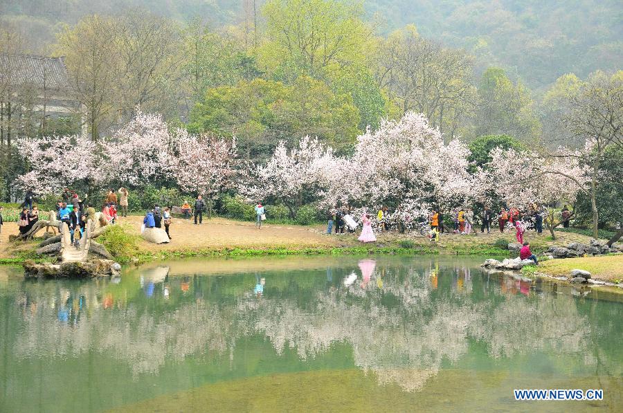 #CHINA-ZHEJIANG-HANGZHOU-WEST LAKE-CHERRY BLOSSOM (CN)