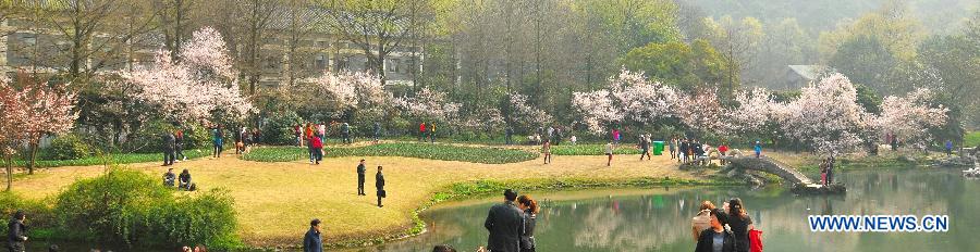 #CHINA-ZHEJIANG-HANGZHOU-WEST LAKE-CHERRY BLOSSOM (CN)‏