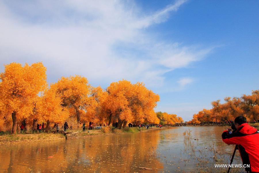 #CHINA-FOREST-ARBOR DAY-FILES (CN)