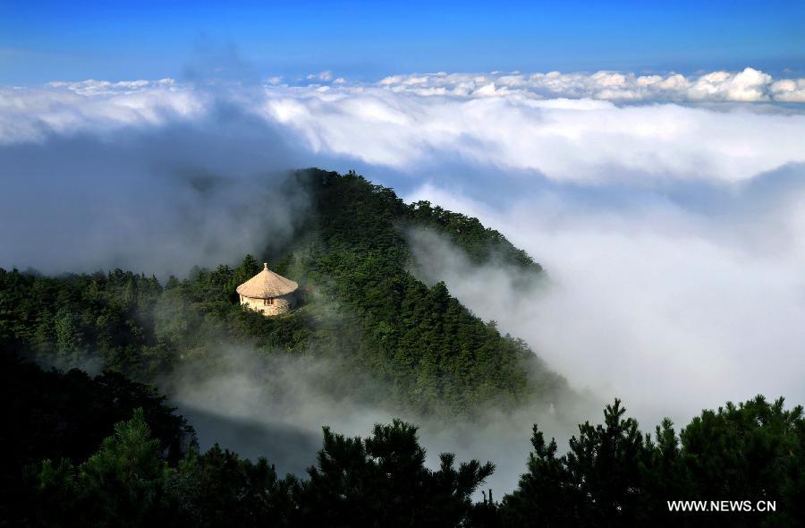 #CHINA-FOREST-ARBOR DAY-FILES (CN)