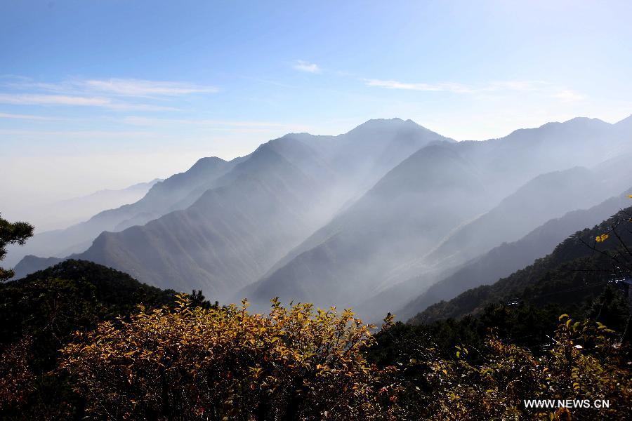 #CHINA-FOREST-ARBOR DAY-FILES (CN)