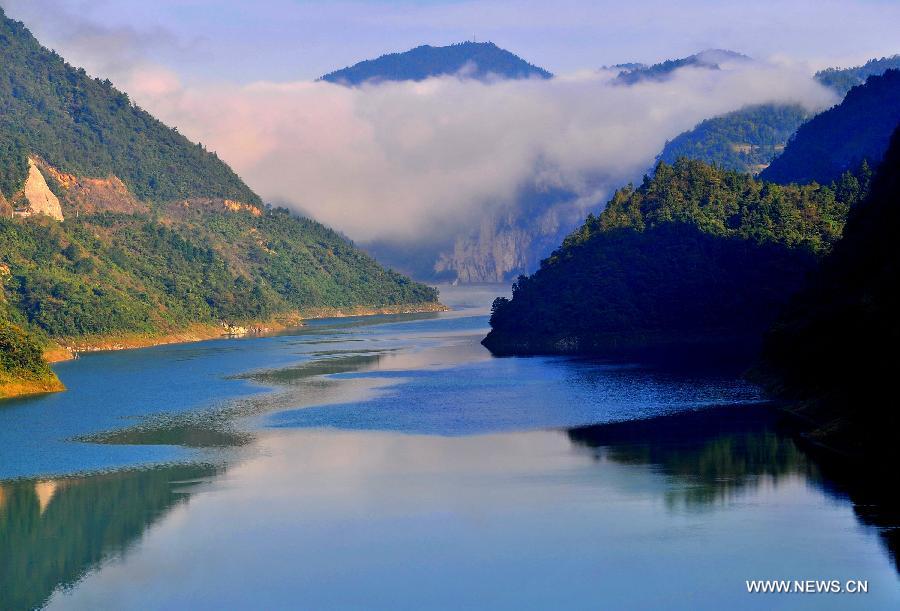 #CHINA-FOREST-ARBOR DAY-FILES (CN)