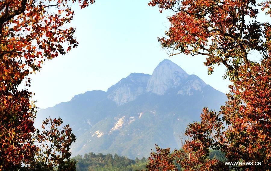 #CHINA-FOREST-ARBOR DAY-FILES (CN)