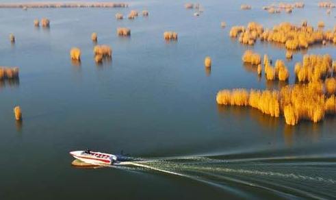 Sand Lake, top spot for bird-watching
