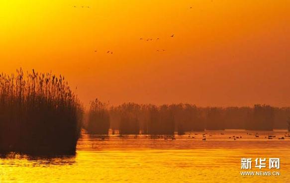 Sand Lake, top spot for bird-watching