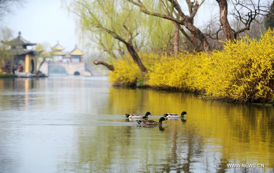 Enjoy scenery of Slender West Lake in China's Jiangsu