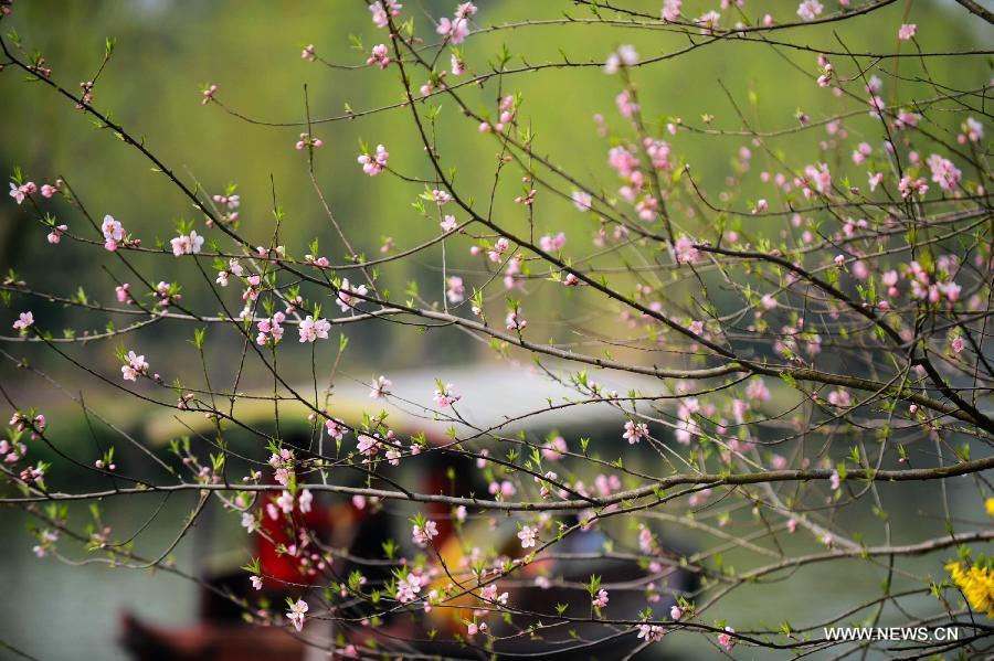 Enjoy scenery of Slender West Lake in China's Jiangsu