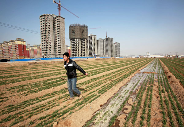 A farmer irrigates a field of wheat at Suizhuang village in Huaxian country. Henan province. Nearly, residential buildings are being built for villagers as part of a rural urbanization drive. [Photo/China Daily]