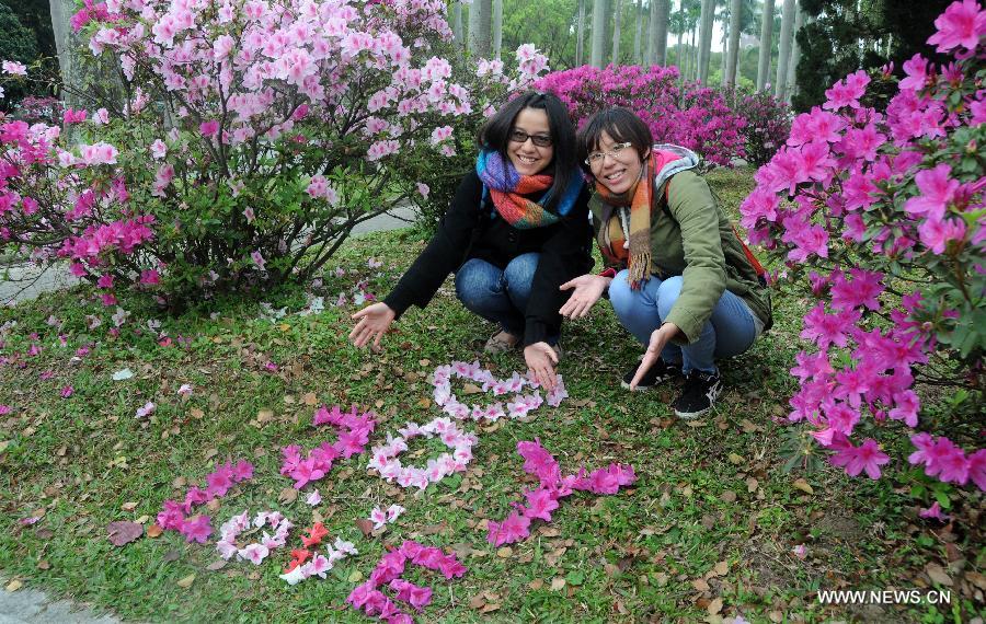 #CHINA-TAIPEI-FLOWERS (CN)