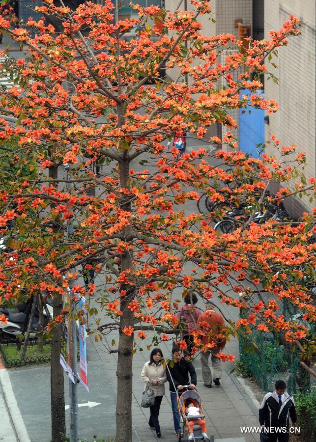 #CHINA-TAIPEI-FLOWERS (CN)