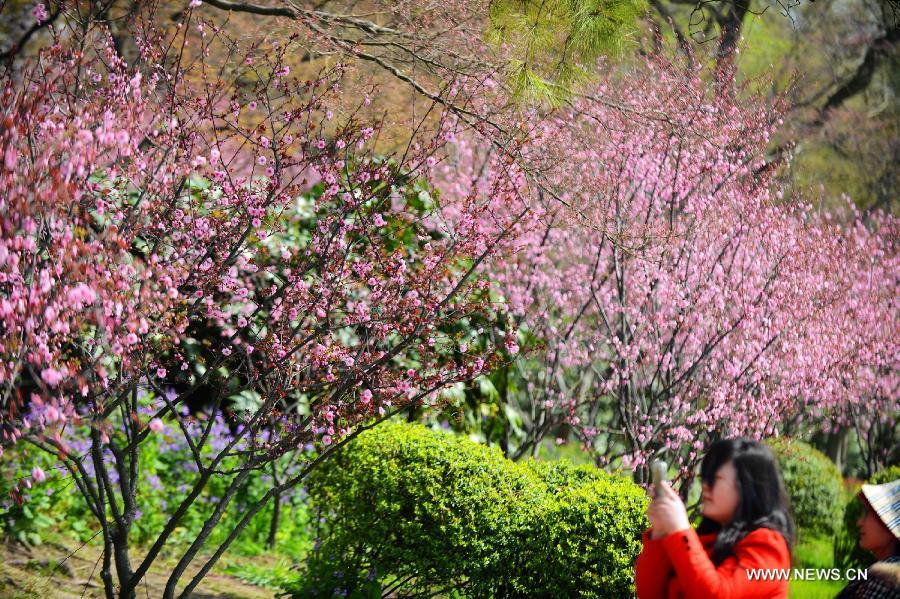 #CHINA-JIANGSU-YANGZHOU-SPRING-SCENERY (CN)