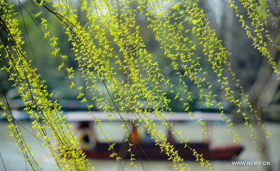 #CHINA-JIANGSU-YANGZHOU-SPRING-SCENERY (CN)