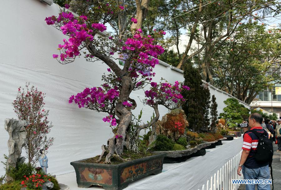 People look at bonsai displayed at a flower show in south China's Hong Kong, March 15, 2013. The 10-day Hong Kong Flower Show 2013 kicks off on Friday at Victoria Park. More than 200 organizations contributed some 350,000 flowers to the show. [Photo / Xinhua]