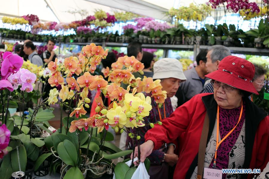 Local citizens select orchid displayed at a flower show in south China's Hong Kong, March 15, 2013. The 10-day Hong Kong Flower Show 2013 kicks off on Friday at Victoria Park. More than 200 organizations contributed some 350,000 flowers to the show. [Photo / Xinhua]