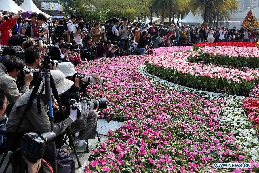 Shutterbugs take pictures of flowers displayed at a flower show in south China's Hong Kong, March 15, 2013. The 10-day Hong Kong Flower Show 2013 kicks off on Friday at Victoria Park. More than 200 organizations contributed some 350,000 flowers to the show. [Photo / Xinhua]