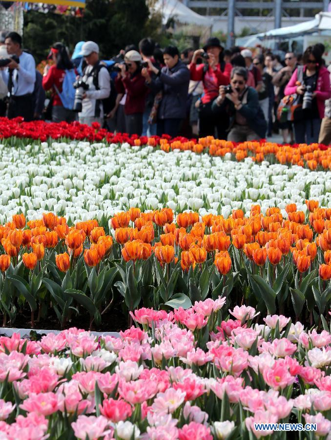 People take pictures of flowers displayed at a flower show in south China's Hong Kong, March 15, 2013. The 10-day Hong Kong Flower Show 2013 kicks off on Friday at Victoria Park. More than 200 organizations contributed some 350,000 flowers to the show. [Photo / Xinhua]