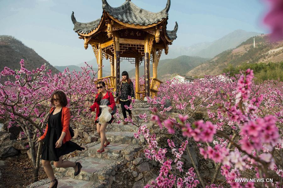 Tourists enjoy their tour amid peach blossoms in Shuangxi Township of Hanyuan County, southwest China's Sichuan Province, March 15, 2013.