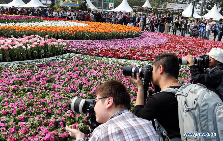 CHINA-HONG KONG-FLOWER SHOW 2013 (CN)