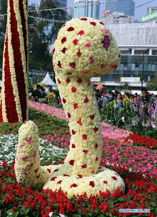 CHINA-HONG KONG-FLOWER SHOW 2013 (CN)