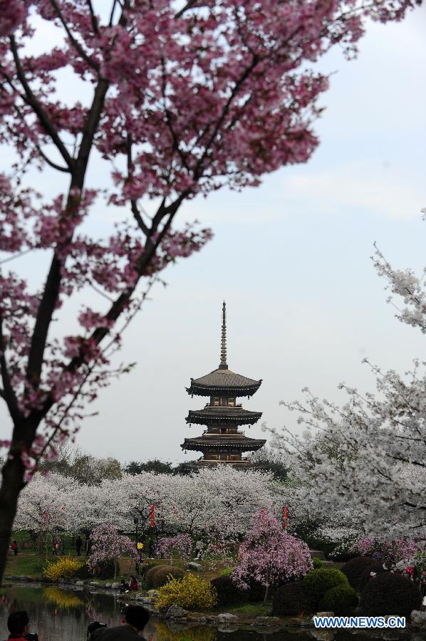 CHINA-HUBEI-WUHAN-CHERRY BLOSSOMS (CN)