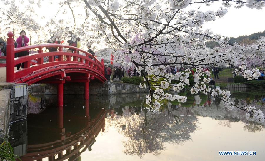 CHINA-HUBEI-WUHAN-CHERRY BLOSSOMS (CN)