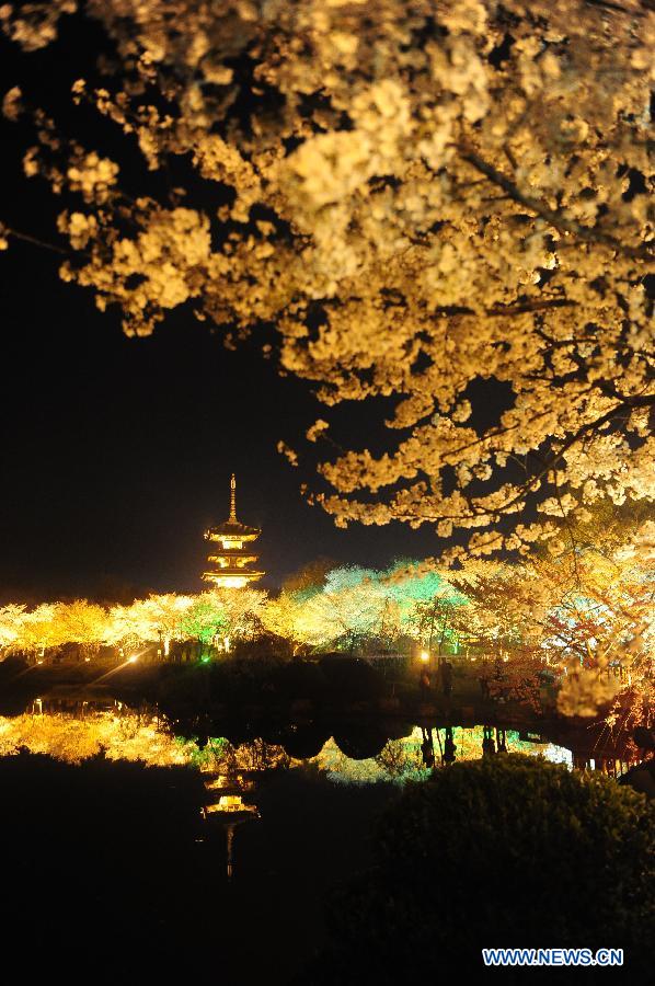 CHINA-WUHAN-CHERRY-ILLUMINATIONS (CN)