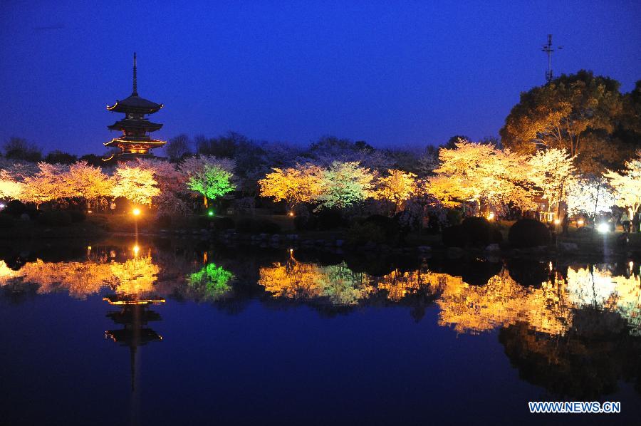 CHINA-WUHAN-CHERRY-ILLUMINATIONS (CN)