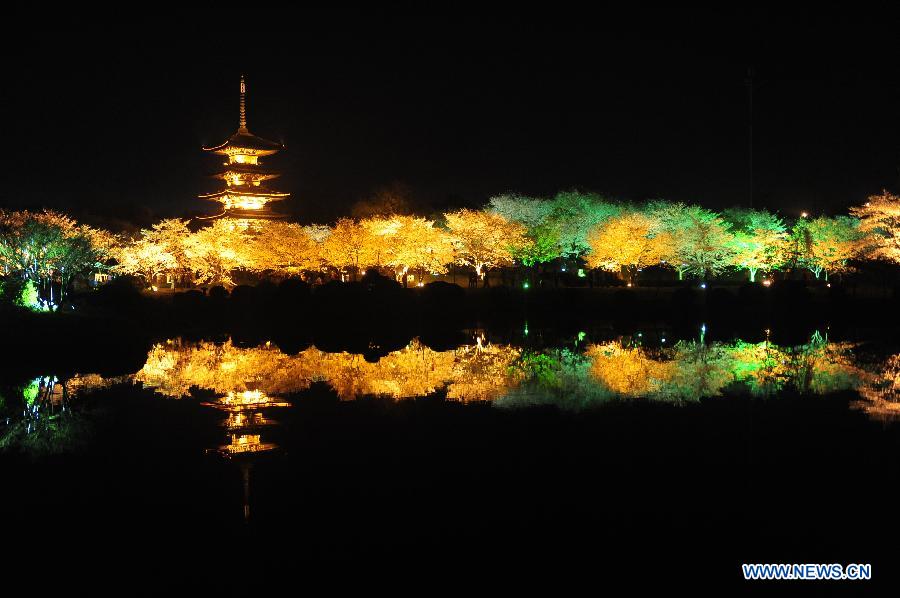 CHINA-WUHAN-CHERRY-ILLUMINATIONS (CN)