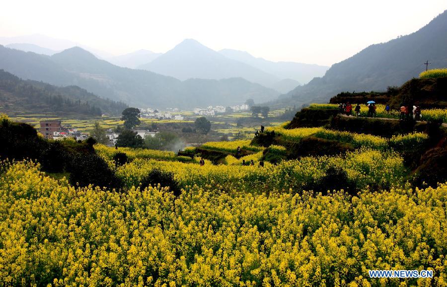 #CHINA-SPRING-FLOWERS (CN) 