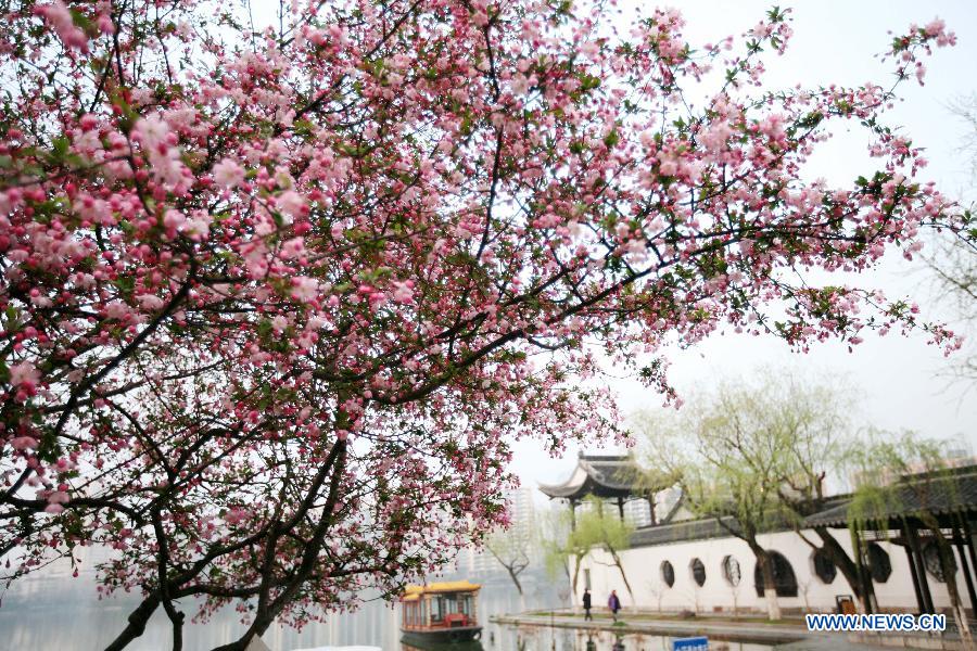 #CHINA-SPRING-FLOWERS (CN) 