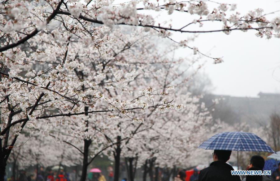 #CHINA-SPRING-FLOWERS (CN) 