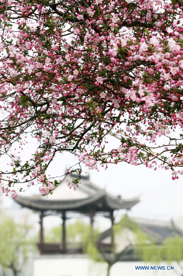 #CHINA-SPRING-FLOWERS (CN) 