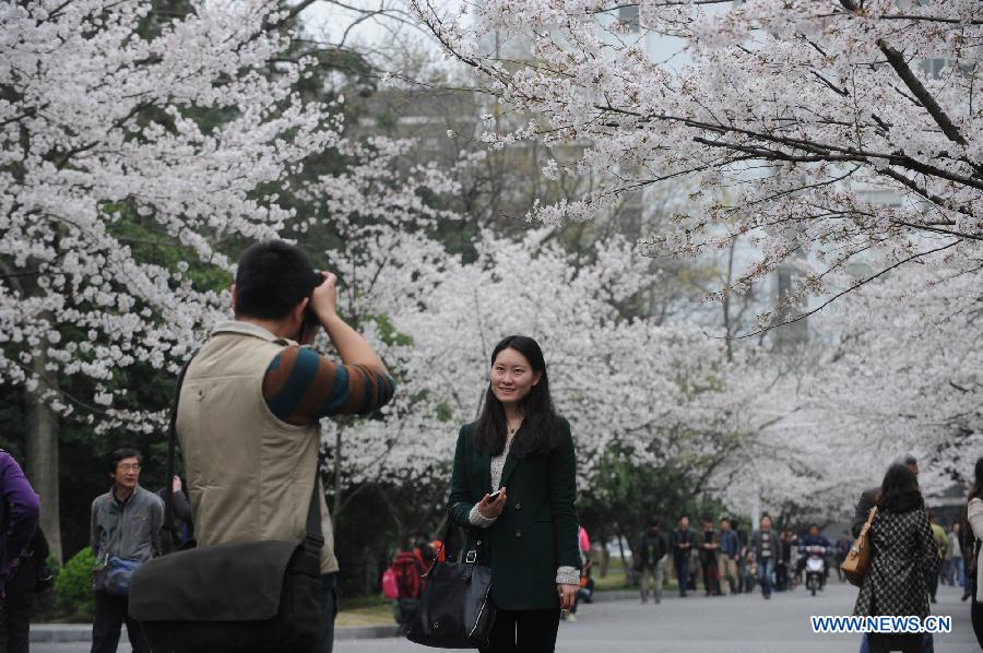 CHINA-NANJING-CHERRY TREE(CN)