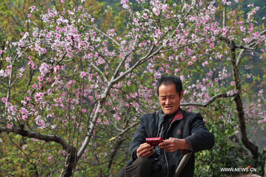 CHINA-HUBEI-PEACH BLOSSOMS (CN)