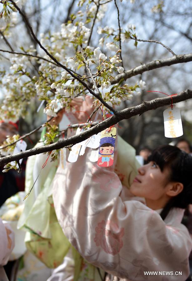 CHINA-CHERRY BLOSSOMS (CN)