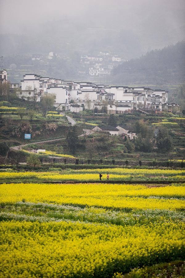 #CHINA-ANHUI-FLOWERS (CN)