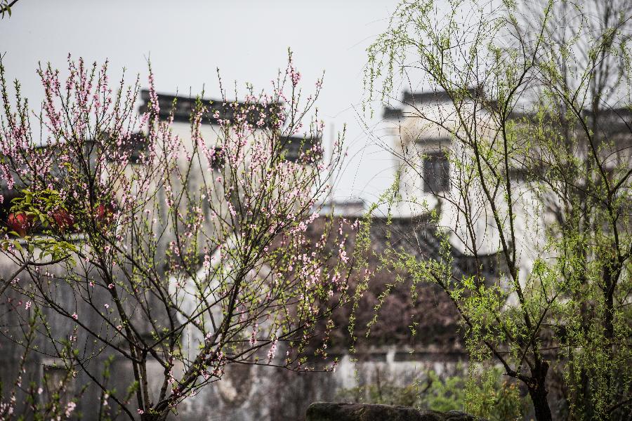 #CHINA-ANHUI-FLOWERS (CN)