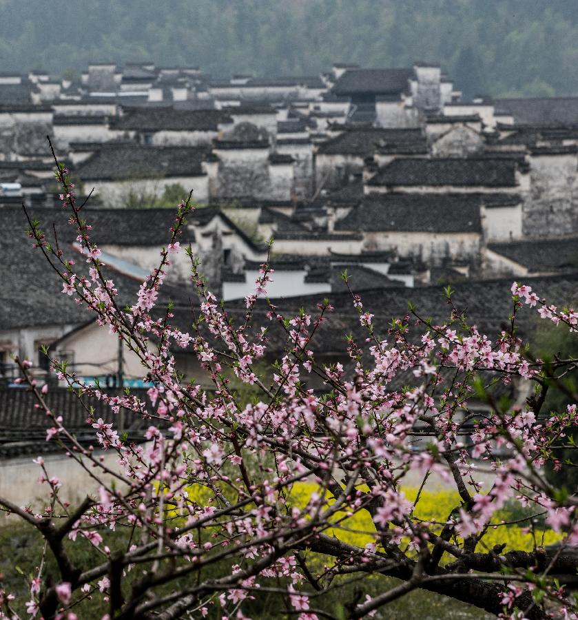 #CHINA-ANHUI-FLOWERS (CN)