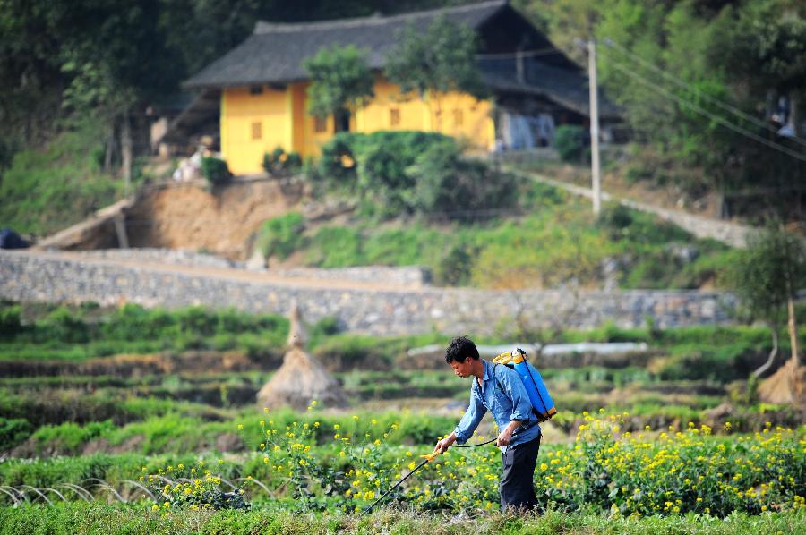 CHINA-GUIZHOU-MAJIANG-SPRING-FARMING (CN)