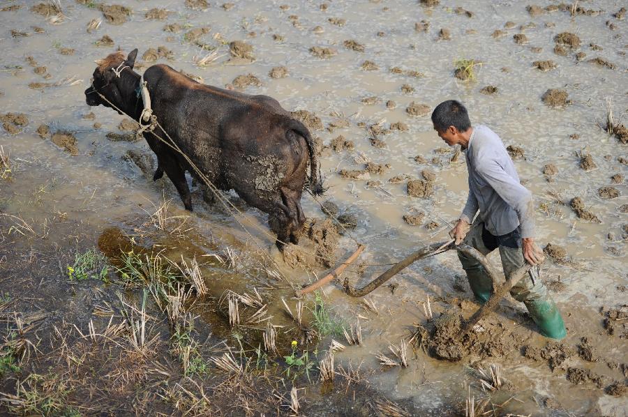 CHINA-GUIZHOU-MAJIANG-SPRING-FARMING (CN)