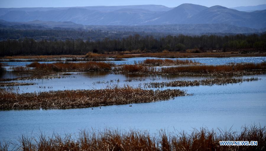 Photo taken on March 21, 2013 shows a scenic view of the Qianzi Lake near the Yellow River in Guide County of the Hainan Tibet Autonomous Prefecture, northwest China's Qinghai Province.