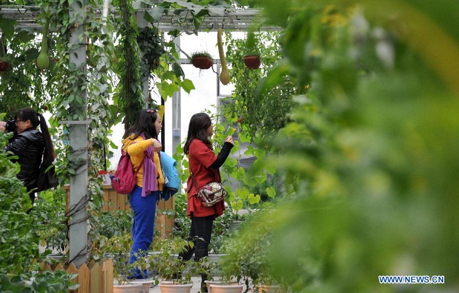 Visitors view hydroponic plants during the 1st Agriculture Carnival at the Strawberry Expo Park in Changping District, Beijing, capital of China, March 23, 2013. Opened Saturday, the carnival will continue till May 12, highlighting the latest agricultural science, technologies and creative agricultural projects. (Xinhua/Li Xin)