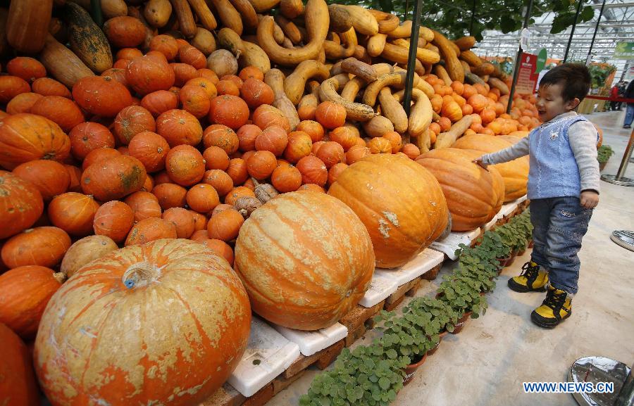 A child is attracted by giant pumpkins during the 1st Agriculture Carnival at the Strawberry Expo Park in Changping District, Beijing, capital of China, March 23, 2013. Opened Saturday, the carnival will continue till May 12, highlighting the latest agricultural science, technologies and creative agricultural projects. (Xinhua/Li Xin)