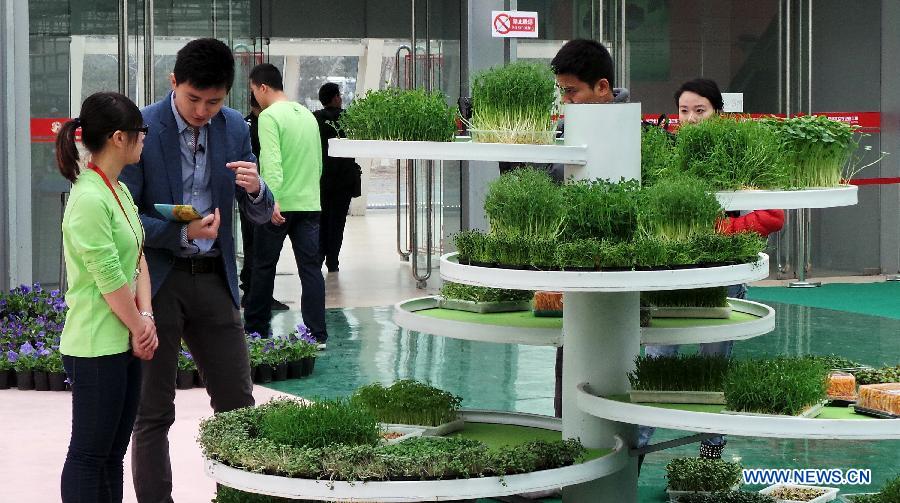 Visitors view hydroponic plants during the 1st Agriculture Carnival at the Strawberry Expo Park in Changping District, Beijing, capital of China, March 23, 2013. Opened Saturday, the carnival will continue till May 12, highlighting the latest agricultural science, technologies and creative agricultural projects. (Xinhua/Li Xin)