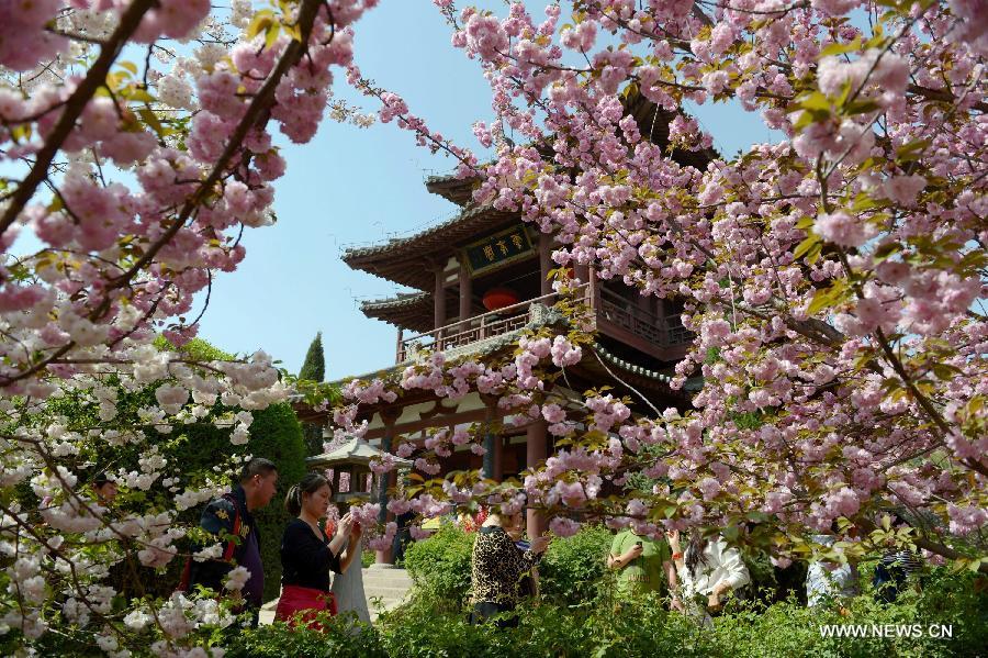 People enjoy the scenery of sakura blossoms at Qinglong Temple in Xi'an, capital of northwest China's Shaanxi Province, March 27, 2013. 