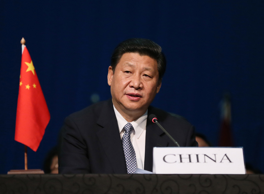While addressing the summit in his keynote speech, Chinese President Xi Jinping called on all BRICS members to work hand in hand for common development. 