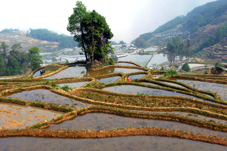 CHINA-YUNNAN-RURAL SCENERY (CN)