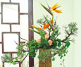 Blooming history