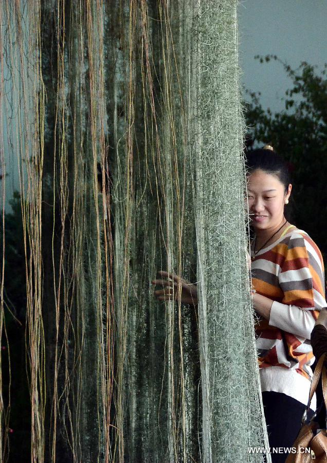 CHINA-HENAN-LUOYANG-FLOWER EXHIBITION (CN)